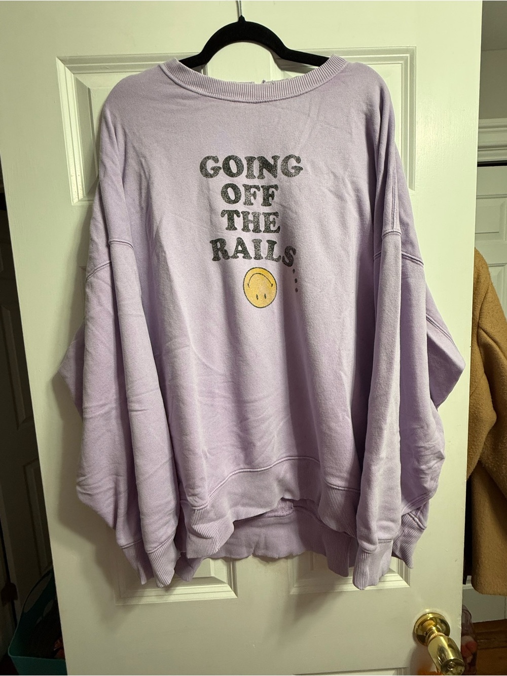 aerie Lilac Crewneck Sweatshirt with Graphic